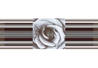 Decor Rose 02 (45x15) Absolut Keramika - Aure