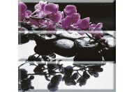 Composicion Wellness Purple (45x45) Absolut Keramika - Aure