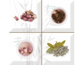 Decor (composicion) Set Aroma Fosker S/4 A 10x10