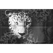 Composicion Leopard (45x30) - Aure