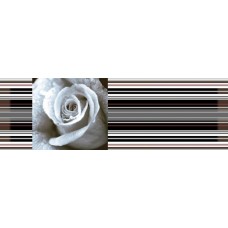 Decor Rose 01 (45x15) - Aure