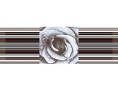 Decor Rose 02 (45x15) - Aure