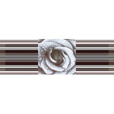 Decor Rose 02 (45x15) - Aure