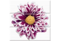 Composicion Flower (45x45) - Aure
