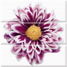 Composicion Flower (45x45) - Aure