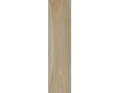 SAVANNA HONEY RET (15x60)