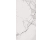 SP6110L SUPREME ROYAL STATUARIO LUX+ Lap (60x120) Керамогранит