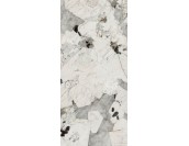 The Room PAT WH6 260 LP 120x260 35638