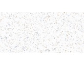 Muria Cherry Fusion мат 60x120 керамогранит
