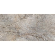 Rain Forest Natural Pulido 59x119 KTL
