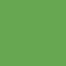 Гармония Керамогранит зелёный светлый салатный SG924600N 30х30