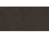 Evolution marron Плитка настенная 48036R 40x80 матовый обрезной
