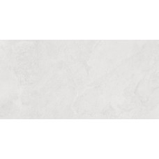 Porter Silver PRO Керамогранит светло-серый LP6012G0171R 59,5х119,1 матовый карвинг R10 STR