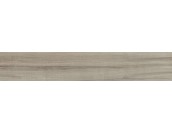 Axis Maple 