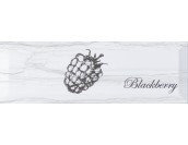Decor Fruit Laguna Blackberry 10x30 декор настенный глянцевый