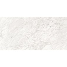 02576 MAJESTIC APUANIAN WHITE LEV/RET 60x119.5 