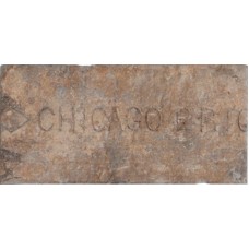Chicago Old City Mix 10x20